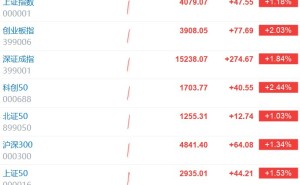 创业板指、科创50均涨超2%
