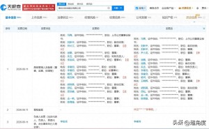雅戈尔顺利换帅：李如成卸任 李寒穷接棒出任董事长兼总裁