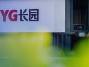 格力供应链2亿采购合作背后：ST长园三名格力系董事请辞 前董事长被立案
