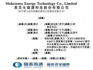 美克生能源赴港IPO：尚未盈利，女董事长魏琼年薪三年连涨至千万