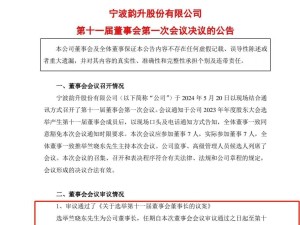 创二代竺晓东掌舵11载，宁波韵升冲刺“A+H”，其年薪大涨引关注
