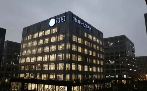 蒋凡“烧钱”换市场逆袭，无招“烧人”致团队离散，阿里改革双将命运迥异