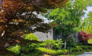 马斯克竞争观启示：长期坚持是王道，多数人败给耐心与平淡