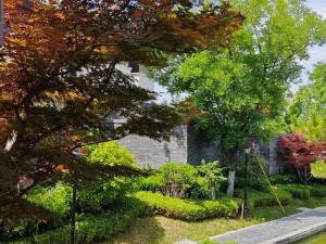 马斯克竞争观：多数人难长期坚持，笃定前行方能赢在终点