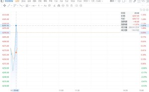 历史新高！创业板指涨超1% 直逼4300点