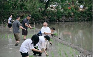 马云携阿里高管下田插秧：以耕耘之姿，传递AI赛道坚定投入与团结信心