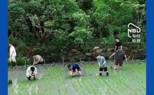 马云携阿里高管插秧团建，刘振飞发文：手中有秧，笃定当下发展与AI未来