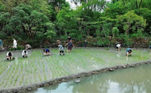 阿里管理层杭州团建聚首，马云等高层齐聚，传离职的周靖人也现身