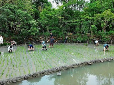 阿里管理层杭州团建聚首，马云等高层齐聚，传离职的周靖人也现身