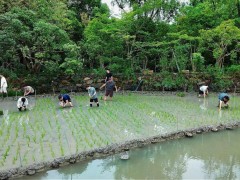 阿里管理层杭州团建聚首，马云等高层齐聚，传离职的周靖人也现身