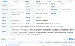 震有科技在成都新设子公司，含互联网安全服务业务