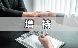 申华控股董事长与董事增持股份，22万股增持彰显对公司发展信心