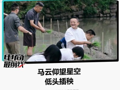 马云现身水田插秧引关注：阿里高管齐聚，背后战略布局与精神动员几何