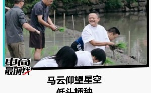 马云现身水田插秧引关注：阿里高管齐聚，背后战略布局与精神动员几何