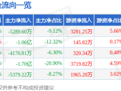 石头科技6月23日股价下跌3.56% 主力资金净流出超五千万 资金流向引关注
