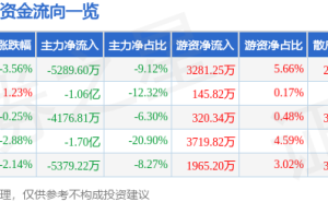 石头科技6月23日股价下跌3.56% 主力资金净流出超五千万 资金流向引关注
