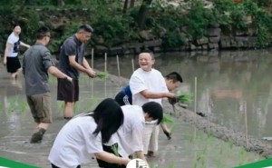 马云率阿里高管下田插秧：是公关秀还是战略隐喻？3800亿投入待解