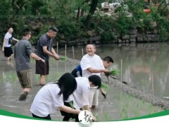 马云率阿里高管下田插秧：是公关秀还是战略隐喻？3800亿投入待解