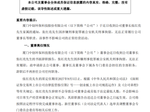 中创环保董事长张红亮涉嫌刑罪被拘 已辞去公司全部职务