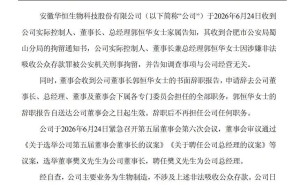 华恒生物董事长涉非法吸存被拘 股价20%跌停公司称经营正常