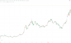 历史新高！科创50突破2000点 年内累涨超50%