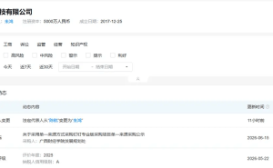 钉钉科技工商变更：陈航卸任法定代表人及董事 朱鸿接棒开启新篇章