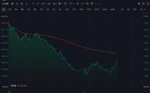 韩国综合指数跌幅收窄至6.5%