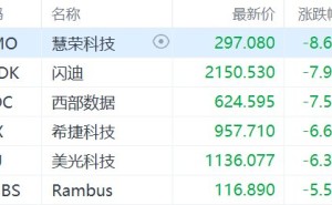 美股存储芯片概念走低，美光科技跌超6%