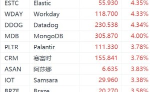 美股AI应用软件股逆势上涨，Palantir、赛富时涨超3%