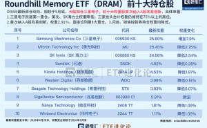 DRAM基金大调仓：三星加仓登顶，美光SK海力士遭减持，A股兆易创新新晋前十