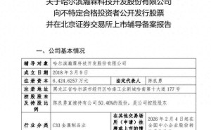 瀚霖科技启动北交所IPO辅导征程，董事长陈良勇掌控超八成股份引关注