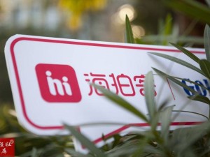 “阿里系”创业、雷军青睐，海拍客二次递表，亏损加剧下能否突围下沉市场？