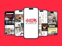 小红书内部启动达尔文项目，或为IPO铺路，拟再造一个现象级产品