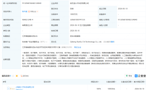 恒润股份新设科技公司，含大数据服务业务