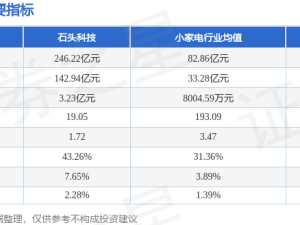 石头科技6月30日股价微涨1.52% 主力资金净流入超千万 机构看好后市