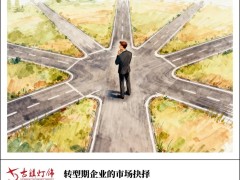 转型浪潮下，照明灯饰企业：大而全与小而专的破局之道