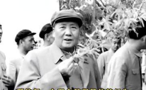 伟人智慧启迪:企业家们从中汲取了哪些前行力量?