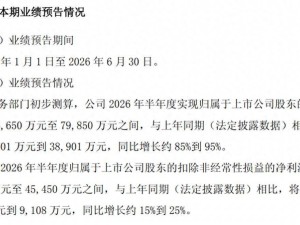 华海药业2026上半年净利预增最高达95% 副总徐觅年薪超董事长李宏