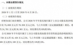 华海药业2026上半年净利预增最高达95% 副总徐觅年薪超董事长李宏