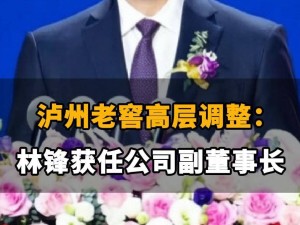 泸州老窖高层变动：林锋走马上任副董事长，企业未来发展引关注