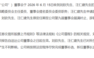 山金国际高层“换帅”：毕洪涛履新董事长，业绩扩张与上市冲刺齐头并进