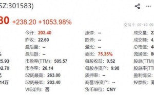 托伦斯创业板上市开盘暴涨 业绩预降 董事长钱珂具美国永居权引关注
