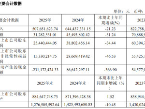 天元智能实控人解除留置履职，2025年业绩下滑全资子公司推进新合作