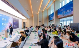 情绪价值驱动产业变革：大文创领域共谋注意力转化新路径