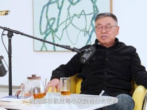 阎焱自曝曾拒投雷军，今坦言：小米极致性价比，价值被低估了