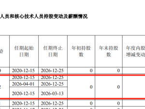 晶科能源高层再变动：19年老将辞任副董事长 仍为实控人之一