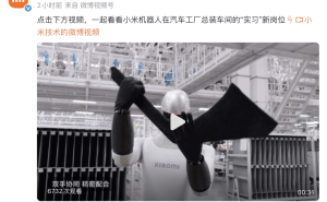 小米机器人“逆袭”进厂:半年解锁高难度工位,与全球头部并肩