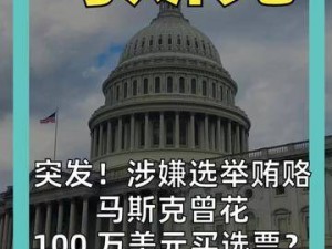 马斯克被指涉嫌选举贿赂？曾豪掷百万美元买选票传闻引关注