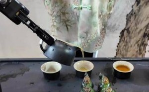 纬钛机器人李瑞：赋予机器人“人手触感”，触觉反馈成关键突破点