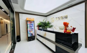 天牧数字人直播系统:电商场景下的创新应用与商家适配指南